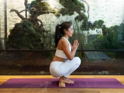 Bloc De Yoga En Bambou Massif - Slanting Plank 60cm X 9cm X 3cm 1 Bloc 16 Bloc De Yoga En Bambou Massif - Slanting Plank 60cm X 9cm X 3cm 1 Bloc -CHIN MUDRA Soldes bloc de yoga en bambou massif slanting plank 16686046026374e2bae6f7d