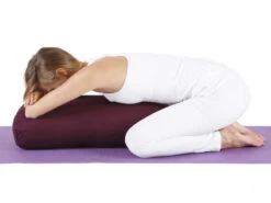 Bolster De Yoga Ovale EPEAUTRE 100 % Coton Bio 60 Cm X15 Cm X 30 Cm Bleu -CHIN MUDRA Soldes bolster de yoga ovale epeautre 100 coton bio 60 cm x15 cm x 30 cm 1649062935624ab41736732