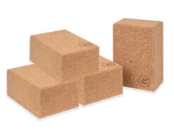 Briques Liège Extra XXL - 23cm X 15cm X 10cm Lot De 6