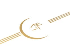 Coffret 20 Ans Chin Mudra Sirius -CHIN MUDRA Soldes coffret 20 ans chin mudra 1699964613655366c54b681