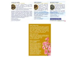 Coffret Thés Japonais De Noël 60g + 80g + 80g -CHIN MUDRA Soldes coffret thes japonais de noel 1669282478637f3aaef3eb7