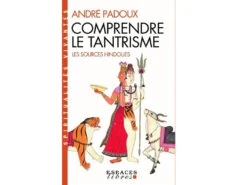 Comprendre Le Tantrisme Andre Padoux