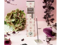 Karin Arbre Sacré Santal 40 Batonnets -CHIN MUDRA Soldes karin arbre sacre santal 1669304257637f8fc1c14af