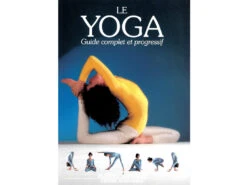 Le Yoga Guide Complet Et Progressif
