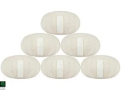 Zafus Nature Standard Epeautre 100% Coton Bio Lot De 6