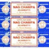 Nag Champa 40gr X 12 Boites -CHIN MUDRA Soldes nag champa 16971845236528fb0b7ad1f