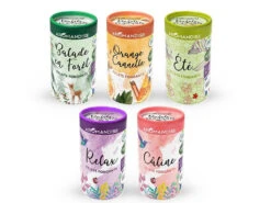 Palets Fondants Balade En Forêt 6 Palets -CHIN MUDRA Soldes palets fondants balade en foret 16710224746399c78ae2a20