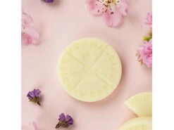 Palets Fondants Câline 6 Palets -CHIN MUDRA Soldes palets fondants caline 16710209336399c1850e8a4