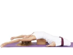 Sangle De Yoga Coton Bio Boucle Rectangulaire Prune -CHIN MUDRA Soldes sangle de yoga coton bio boucle rectangulaire prune 5b8dc8d80b202