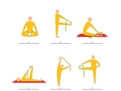 Sangle De Yoga Iyengar 100% Coton Bio 3cm X 200cm -CHIN MUDRA Soldes sangle de yoga iyengar 100 coton bio 3cm x 200cm 5b8dc8e4f38d6