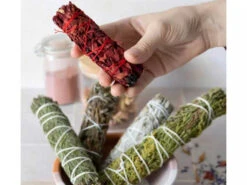 Tresse De Cèdre 15cm -CHIN MUDRA Soldes tresse de cedre 1700574010655cb33a9522e