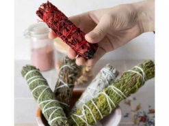 Tresse De Sauge Sang - Dragon 10cm -CHIN MUDRA Soldes tresse de sauge sang dragon 1700573583655cb18fc9442