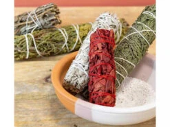 Vase Rituel En Terre Cuite 15cm De Diamètre X 5cm De Hauteur -CHIN MUDRA Soldes vase rituel en terre cuite 1700575096655cb778d2c97