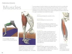 Yoga Anatomie Les Muscles -CHIN MUDRA Soldes yoga anatomie 15827926365e577fbca240d