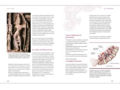 Yoga Perfectionnement Docteur Ronald Steiner / Anna Trökes -CHIN MUDRA Soldes yoga perfectionnement 15827314015e569089916dd