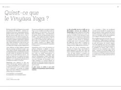 Yoga Vinyasa - L'éloge Du Souffle Amélie Annoni - Alex Blake -CHIN MUDRA Soldes yoga vinyasa leloge du souffle 1664892649633c3ee908908